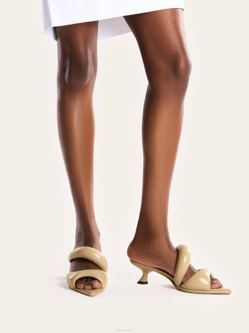 co JW PEI mula sara caña de azucar mula H2LF308